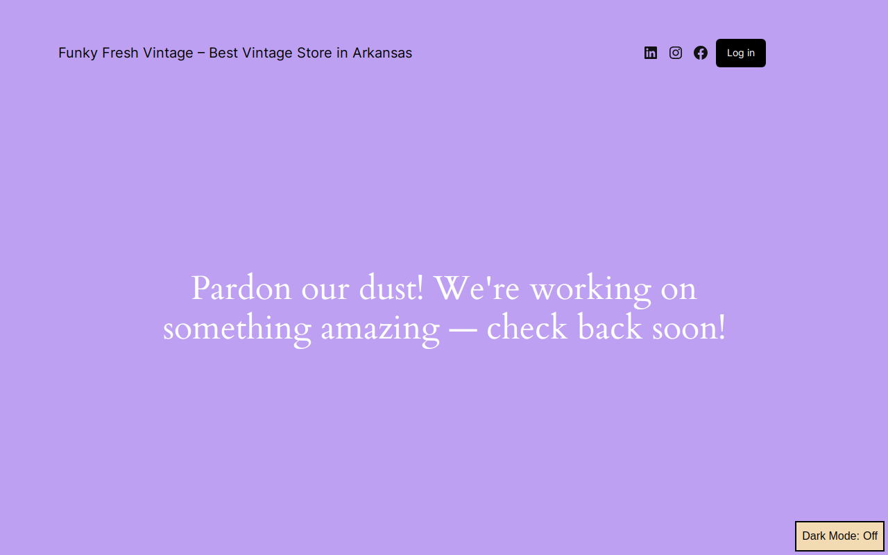 Funky Fresh Vintage Market website preview