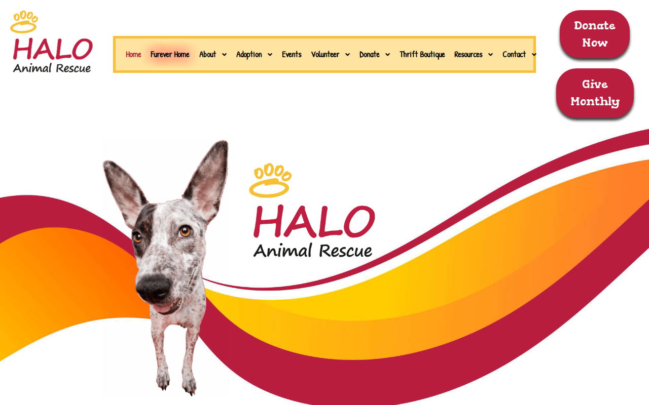 HALO Animal Rescue Thrift Boutique website preview
