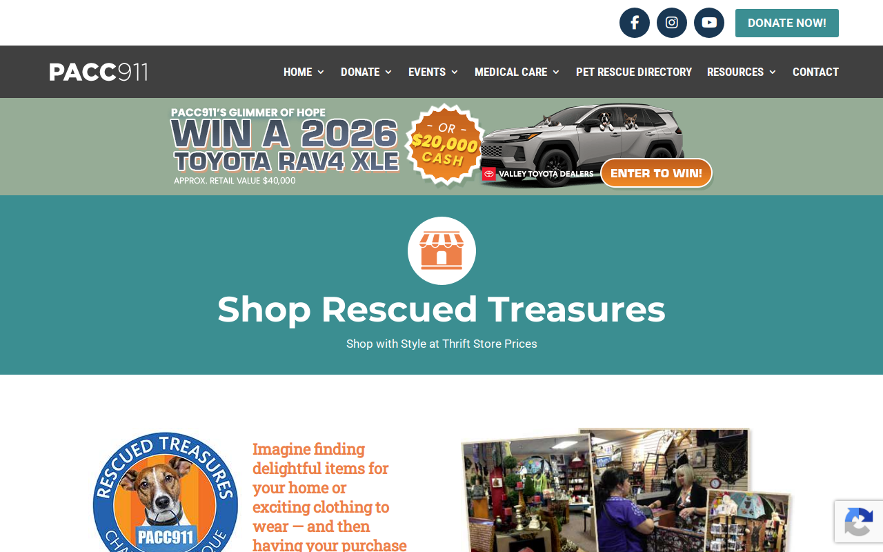 Rescued Treasures website preview