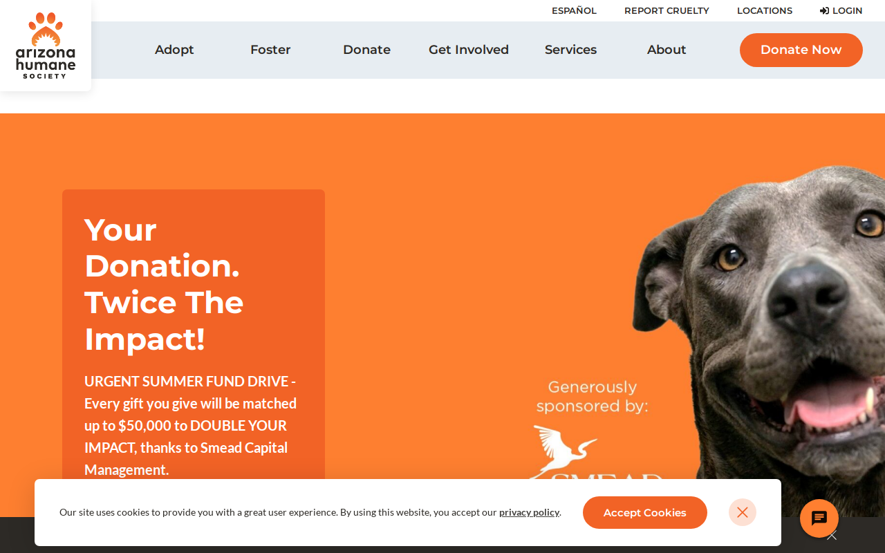 Arizona Humane Society Thrift Store website preview
