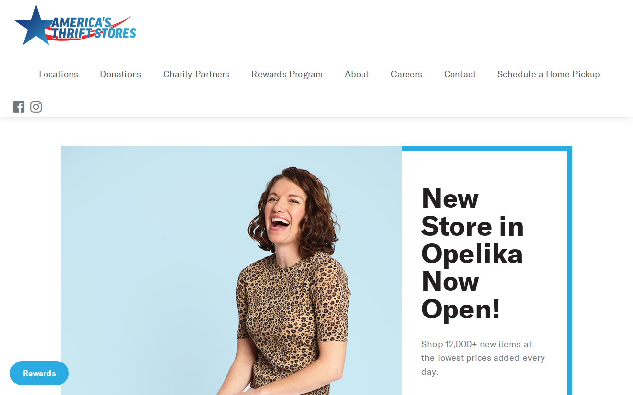 America's Thrift Store website preview