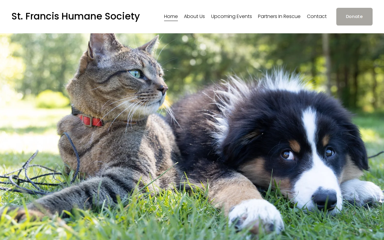 Saint Francis Thrift Store website preview