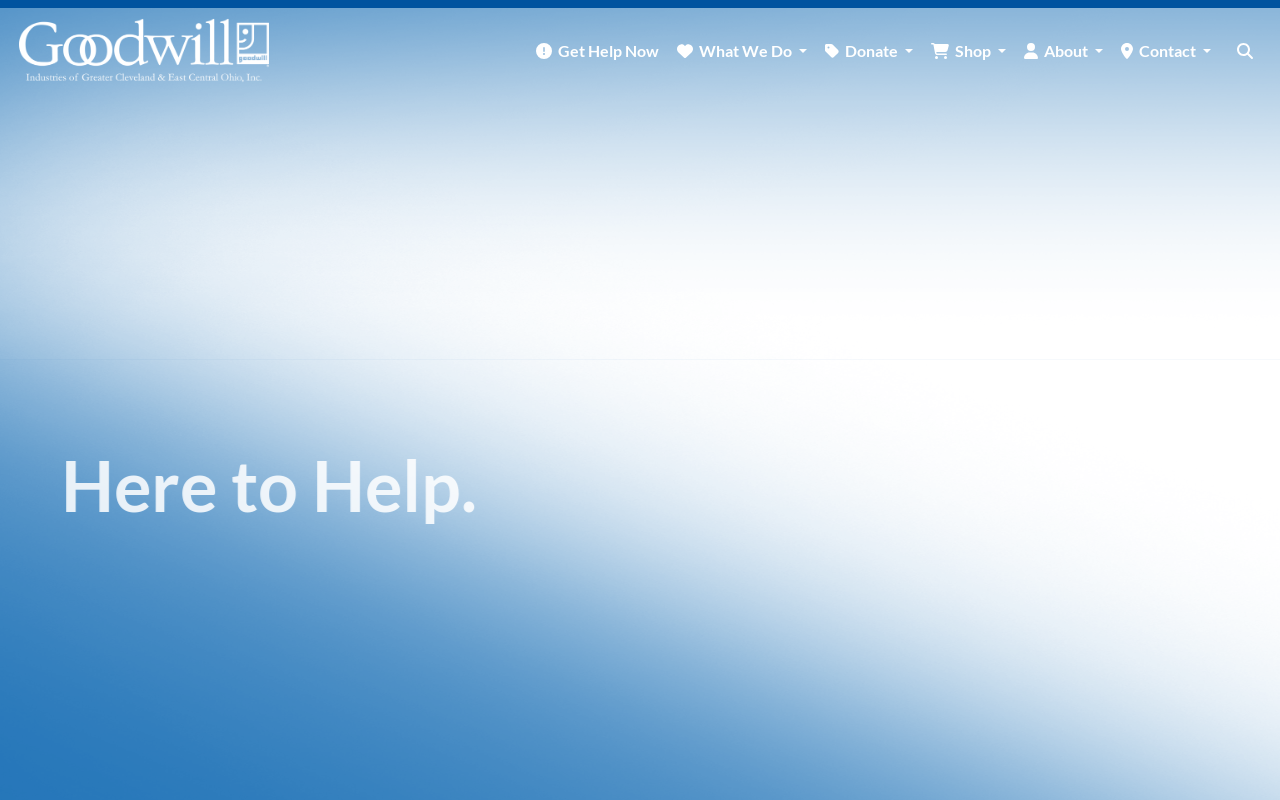 Goodwill Mentor website preview
