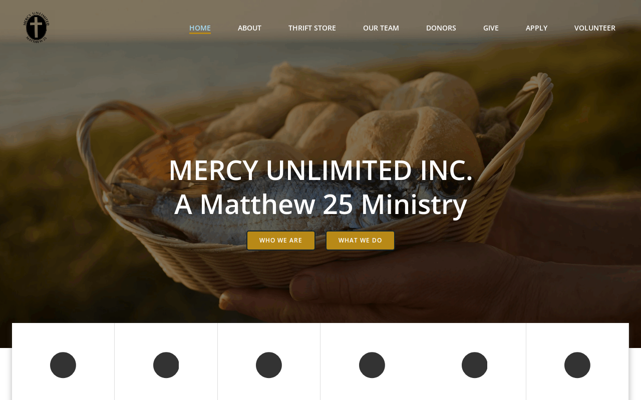 Mercy Unlimited website preview
