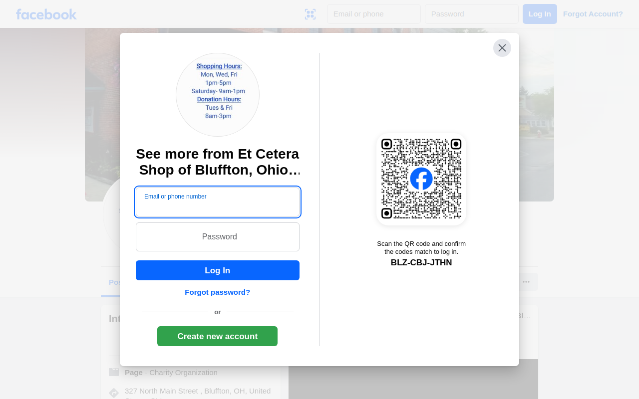 Et Cetera Thrift Shop website preview