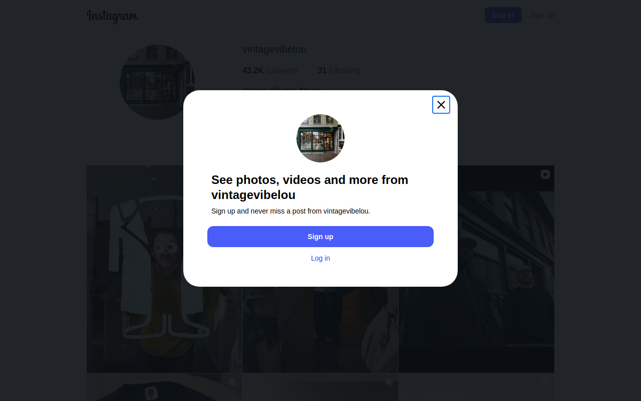 Vintage Vibe website preview