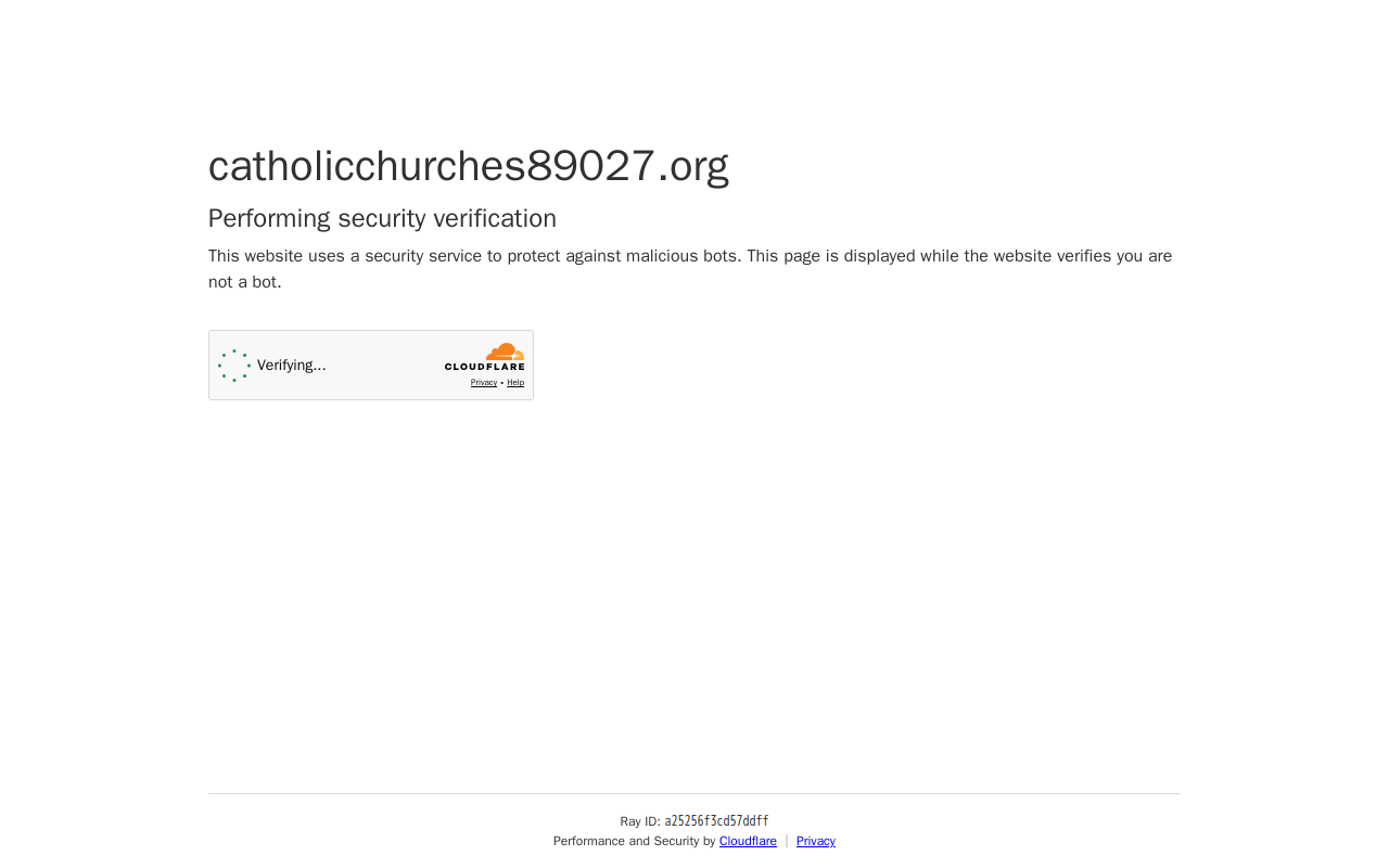 Catholic Thrift Store website preview