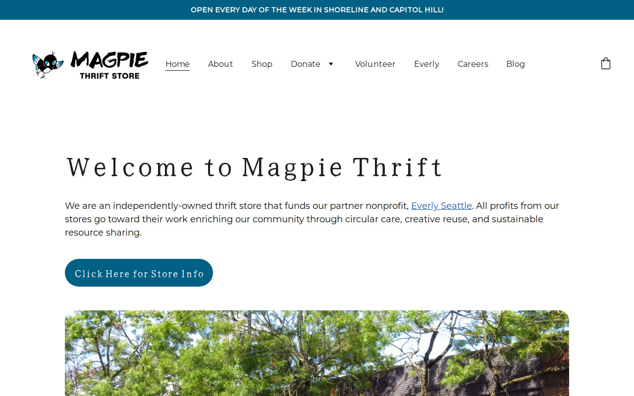 Magpie Thrift Store website preview