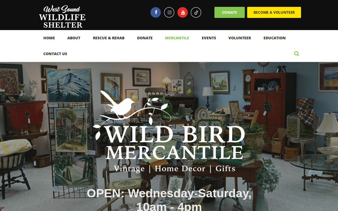 Wild Bird Mercantile website preview
