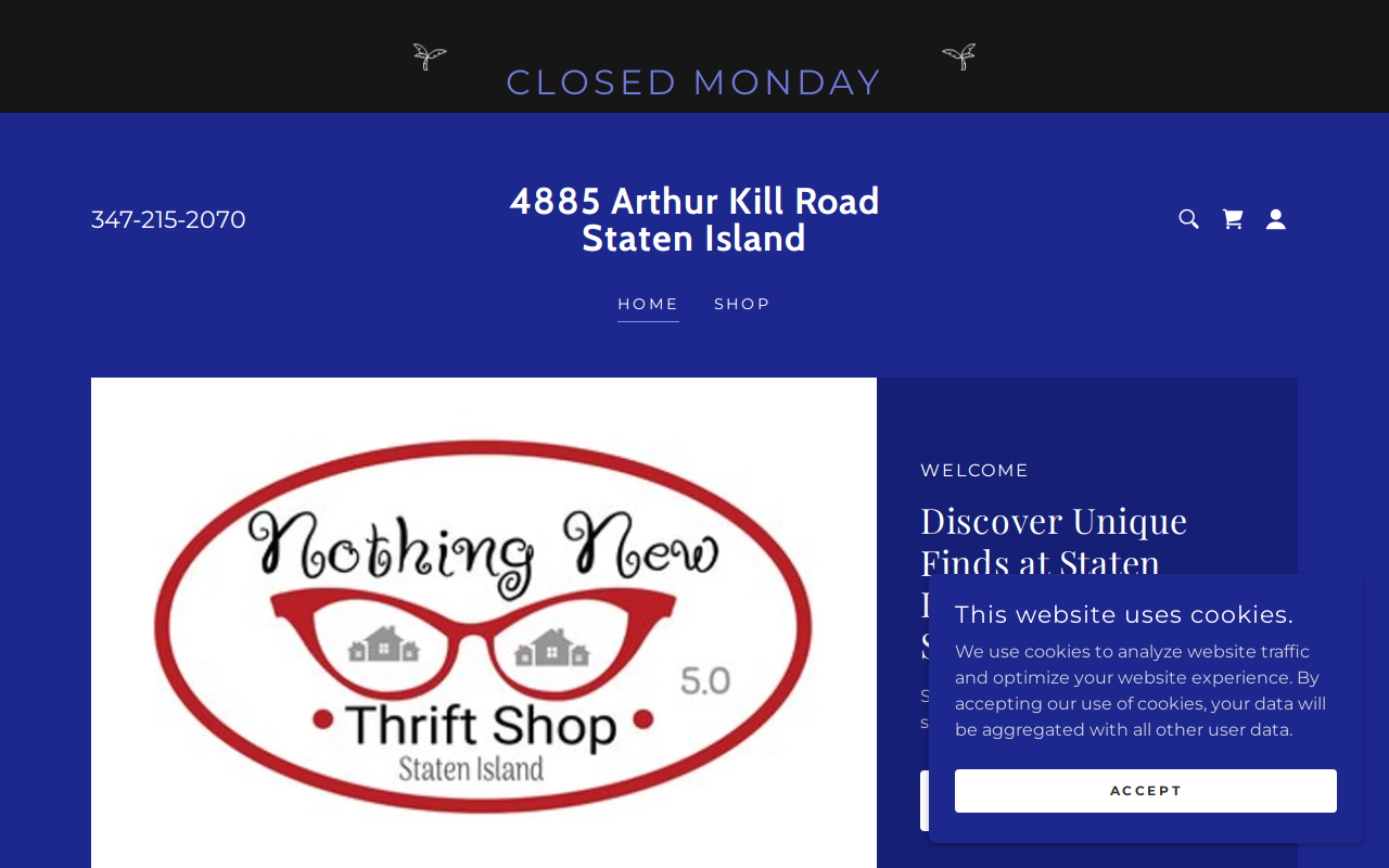 Nothing New Thrift Shop website preview