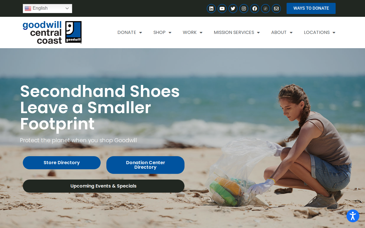 Goodwill website preview