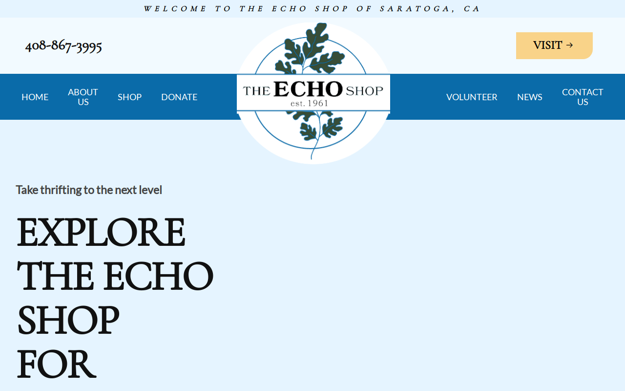 The Echo Shop website preview