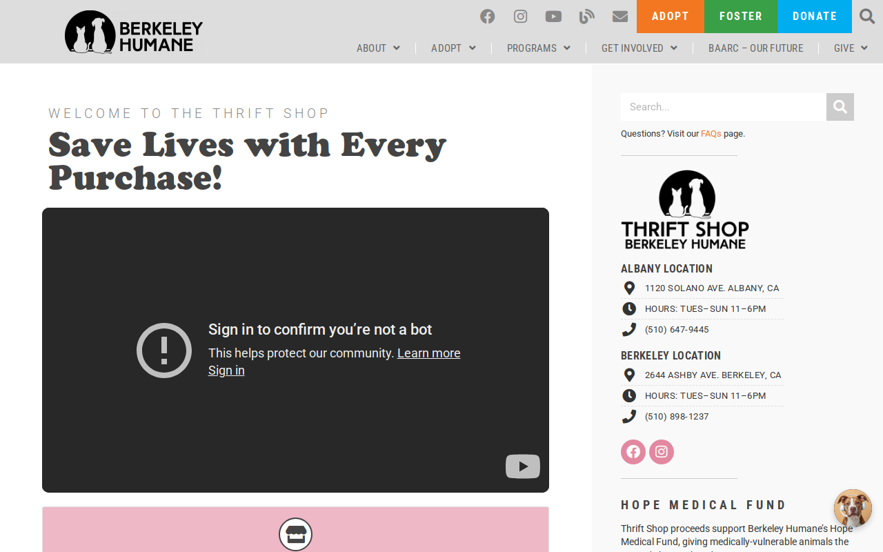 Berkeley Humane Thrift Shop website preview
