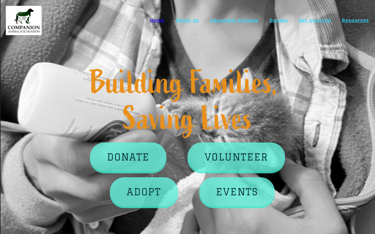 Companion Animal Foundation Thrift Store website preview