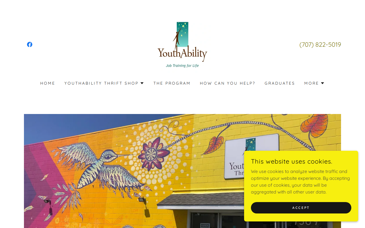 Youth Ability Thrift Shop website preview