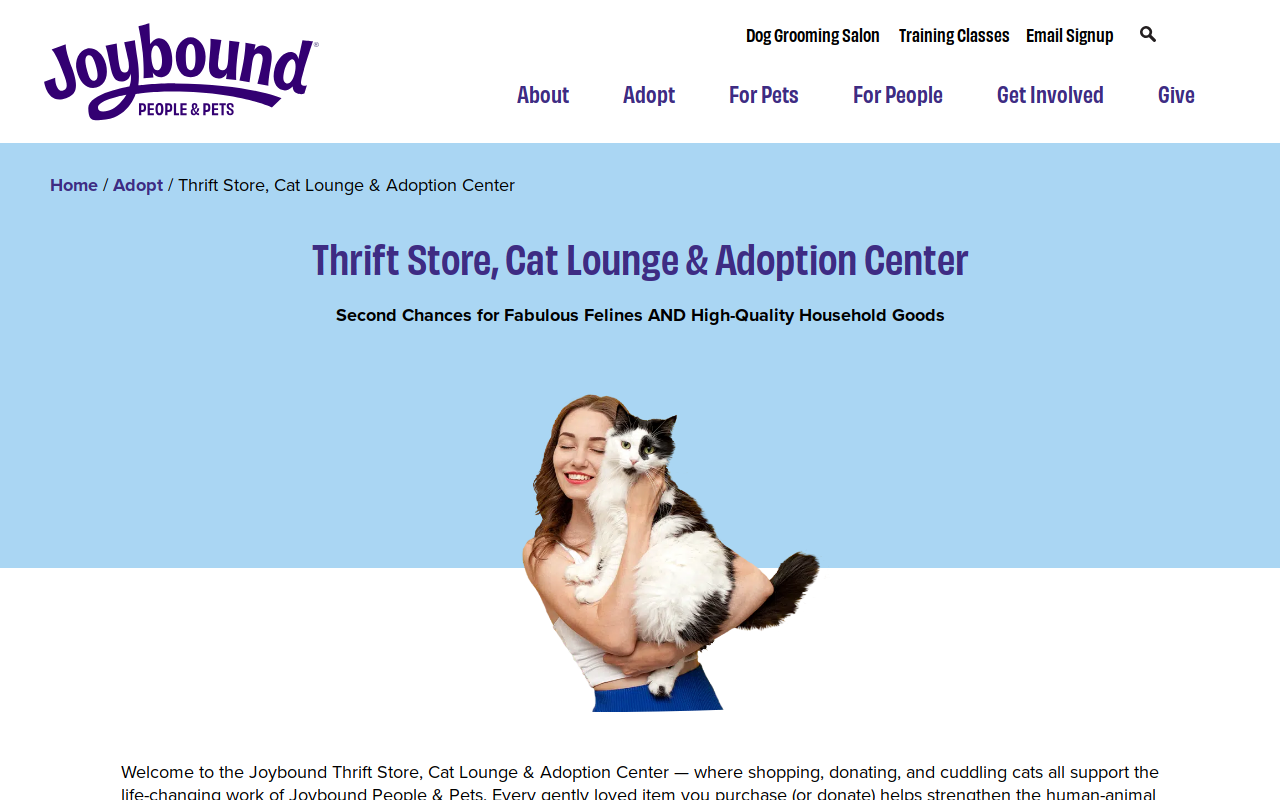 Joybound Thrift Store website preview