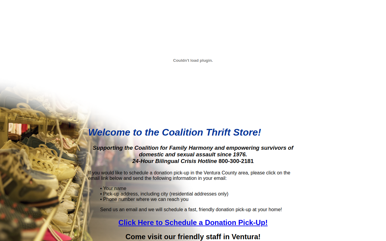 Coalition Thrift Store website preview