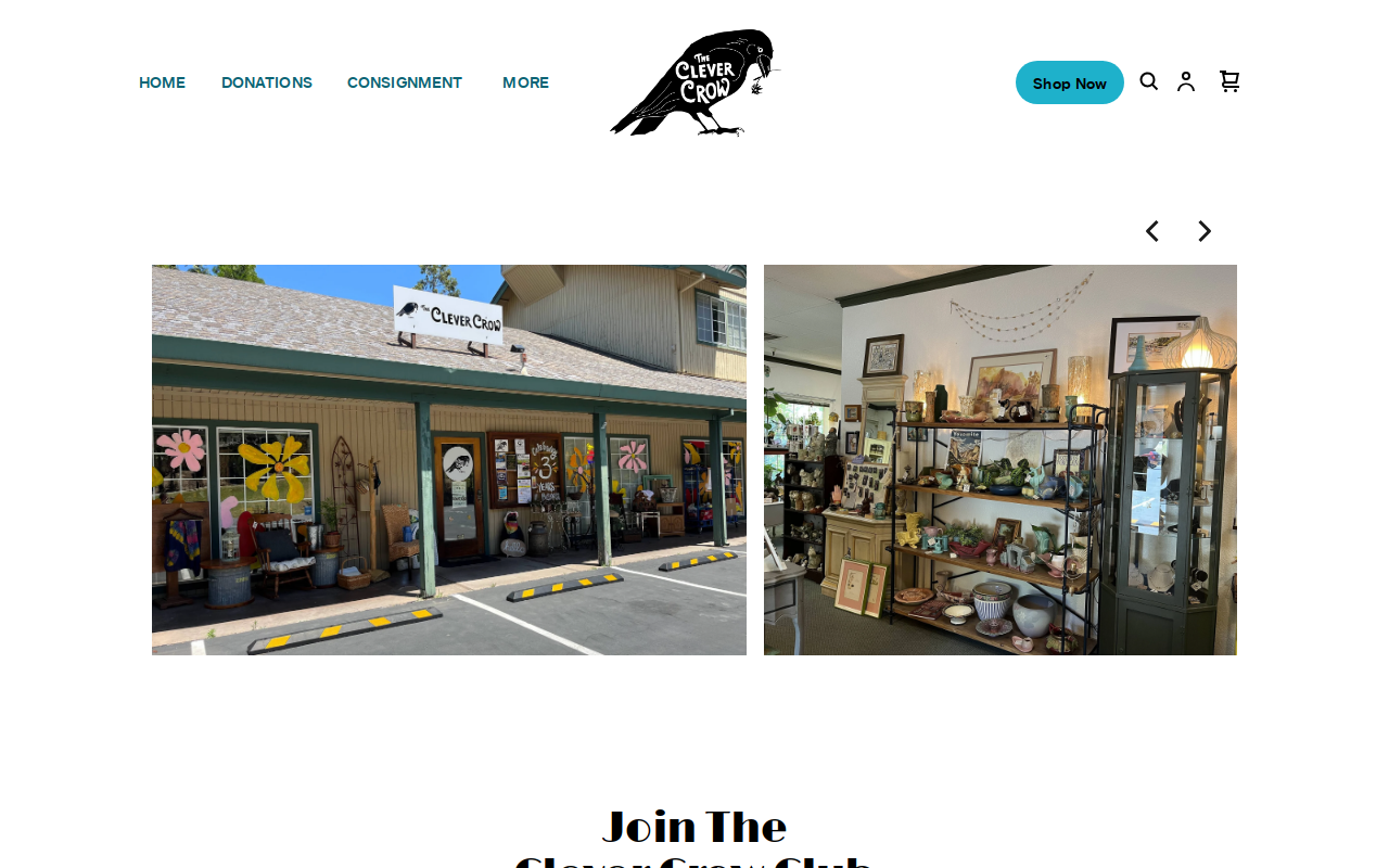 The Clever Crow website preview