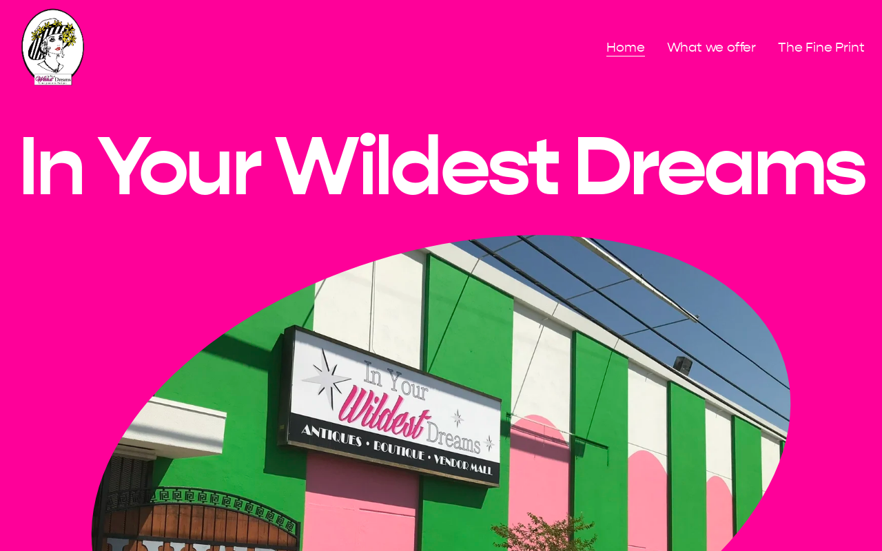 In Your Wildest Dreams Consignments website preview