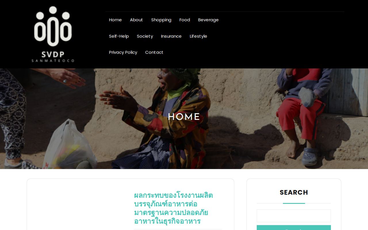 St. Vincent de Paul website preview