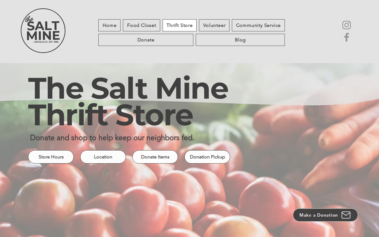 Salt Mine Thrift Store website preview