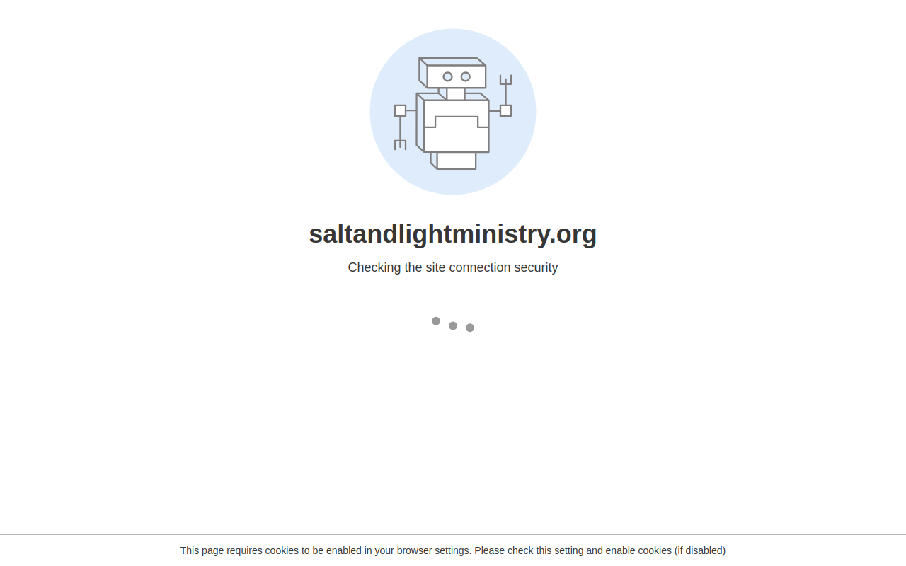 Salt & Light website preview