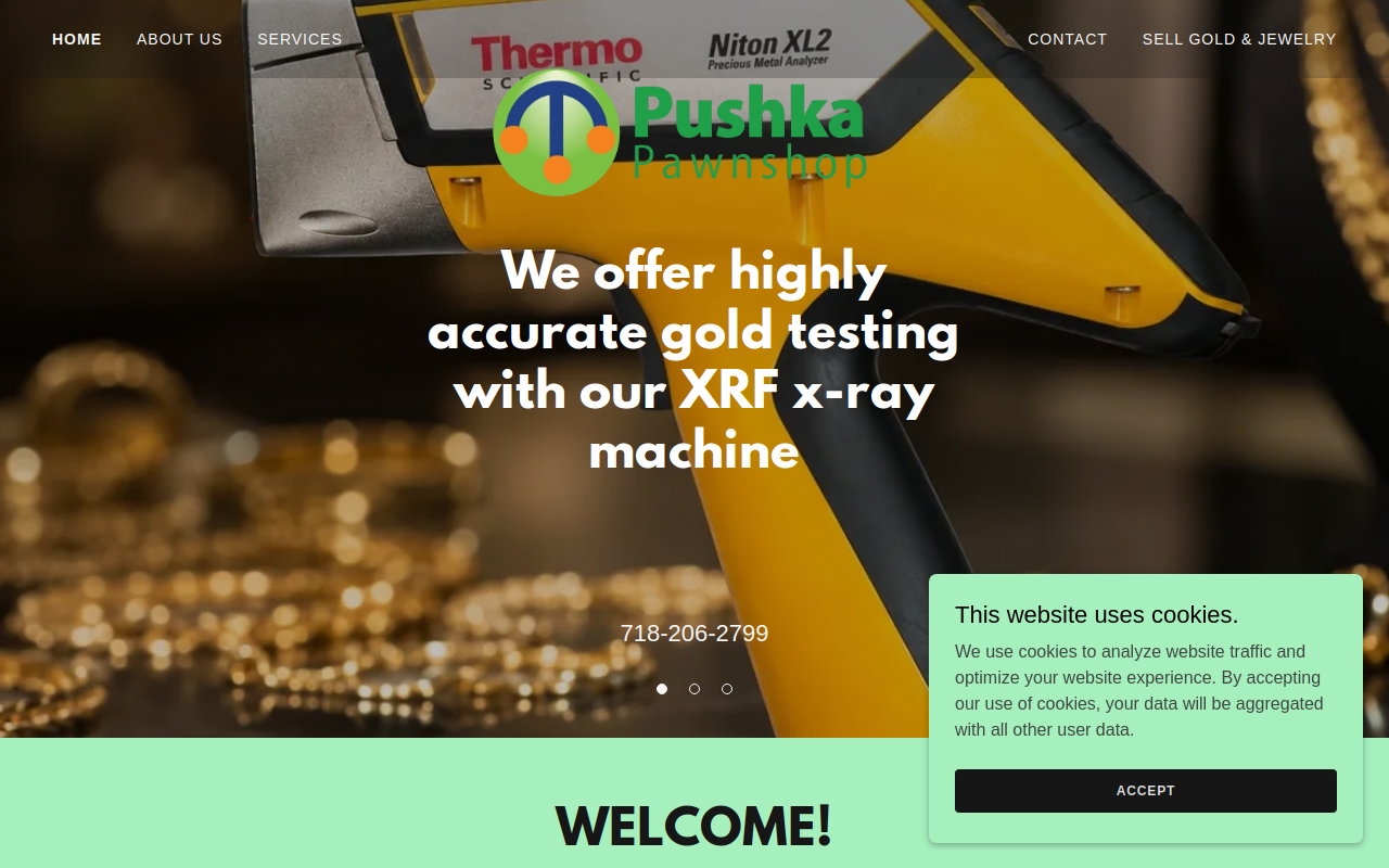 Pushka Pawn Shop website preview