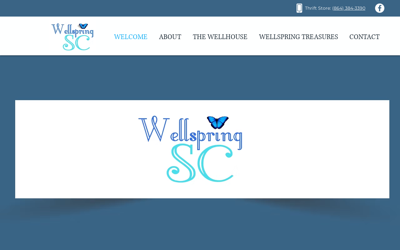 Wellspring Treasures Thrift Store website preview