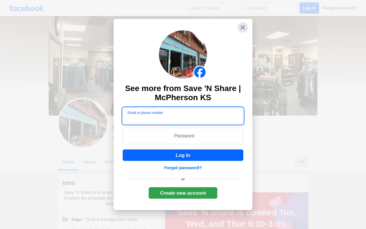 Save 'N Share website preview