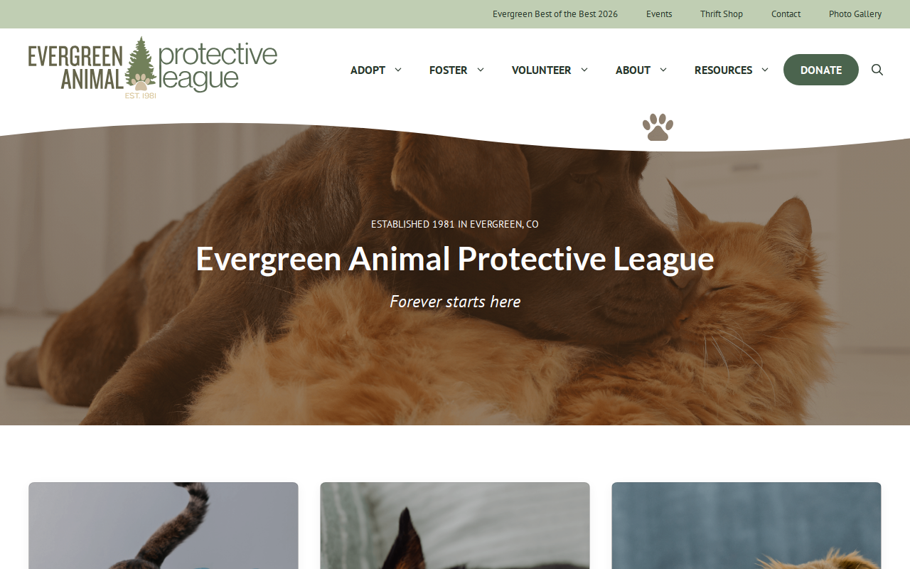 EAPL Thrift Store website preview