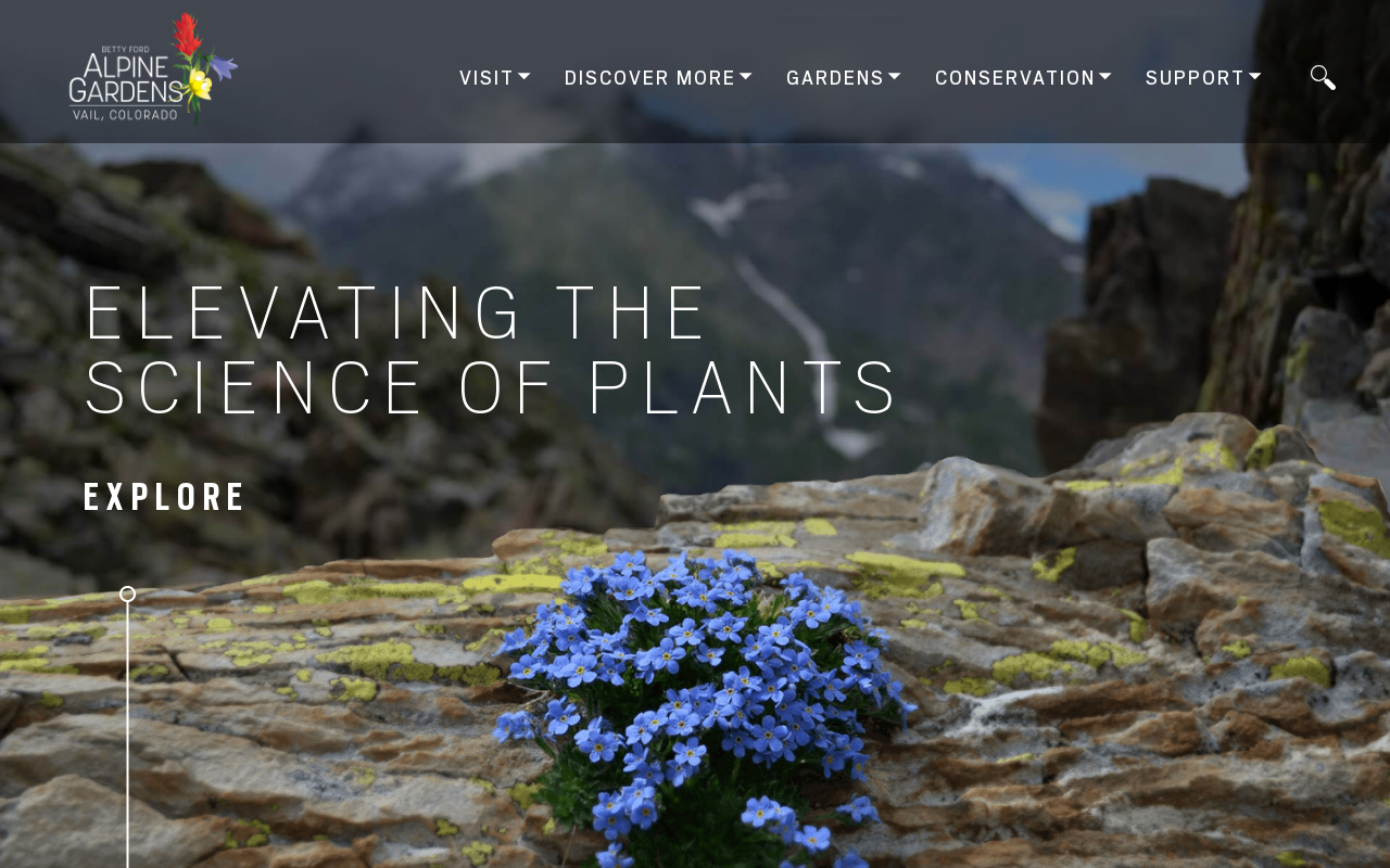 Alpine Treasures Village Gift Shop website preview