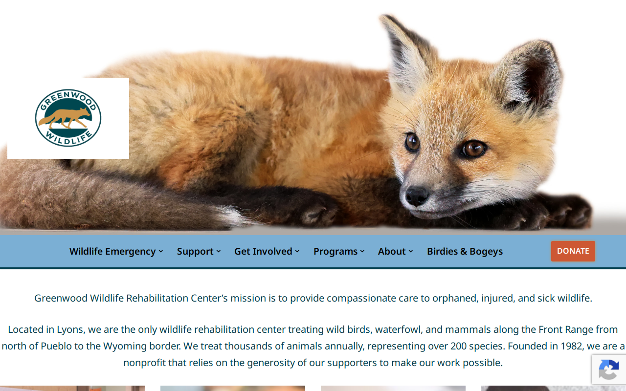 Greenwood Wildlife Rehabilitation Center website preview