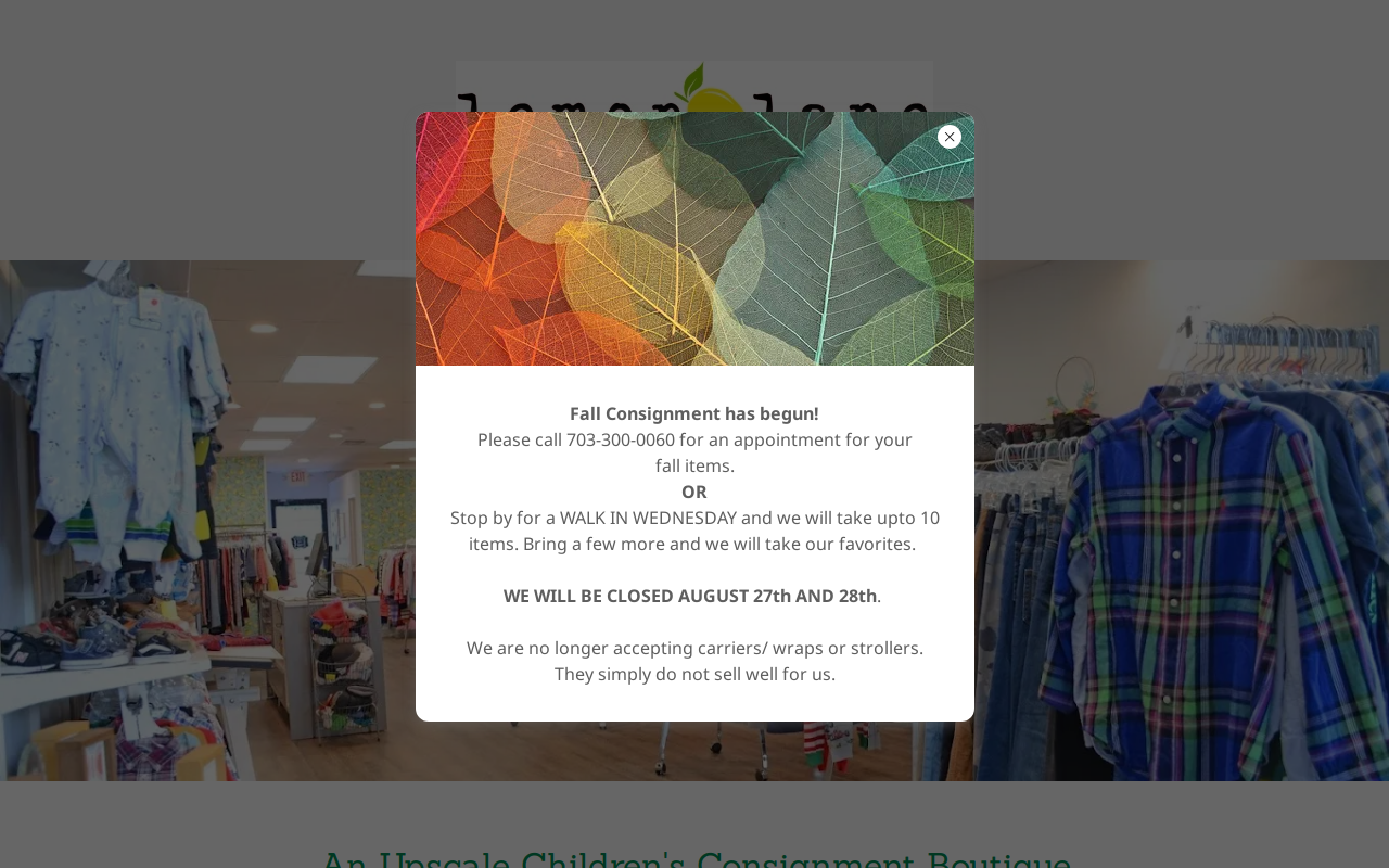 Lemon Lane Children's Consignment website preview