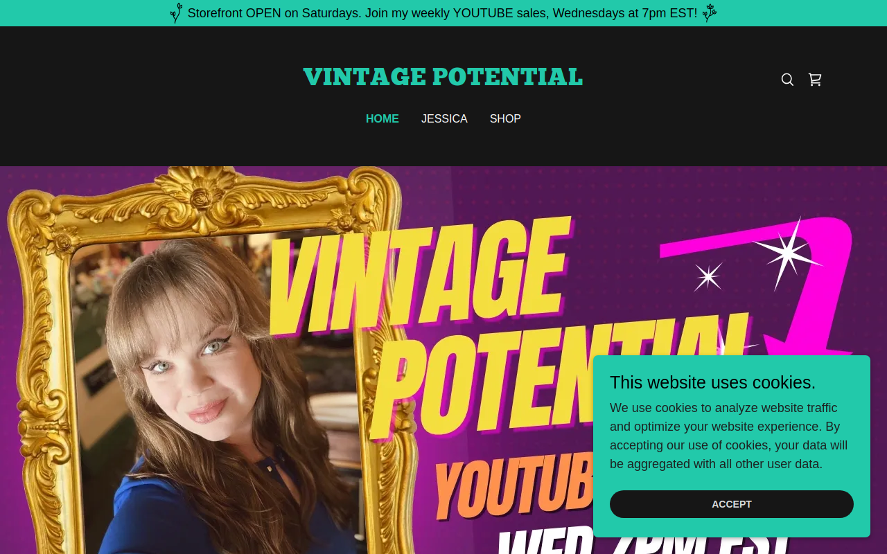 Vintage Potential website preview