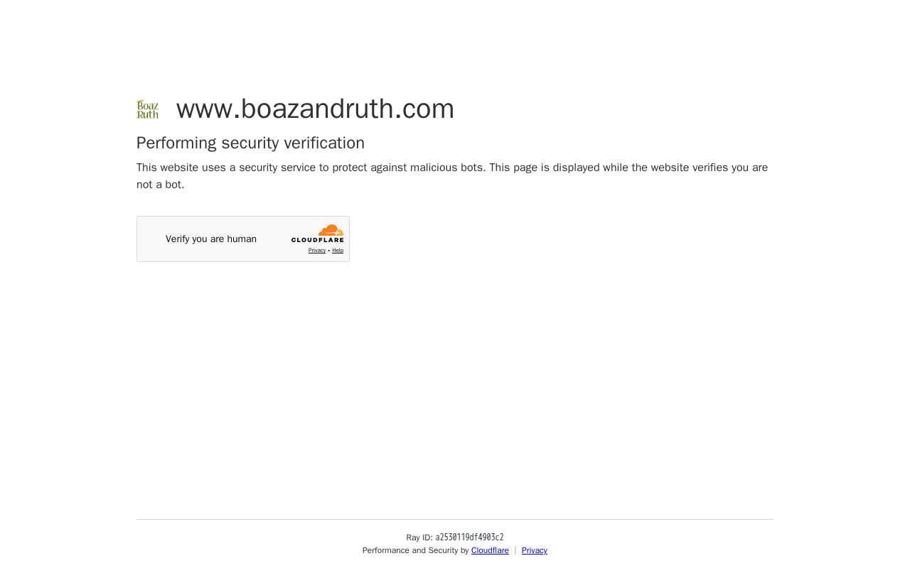 Boaz & Ruth website preview