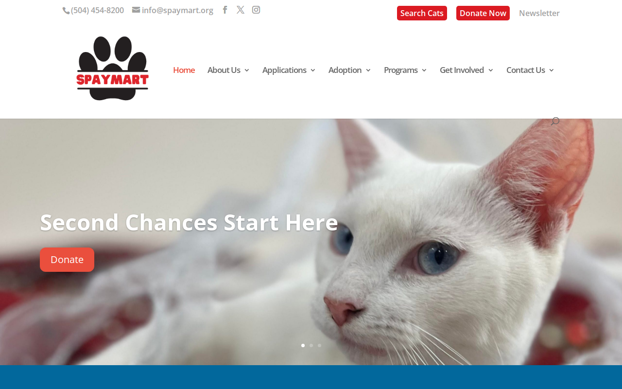 SpayMart website preview