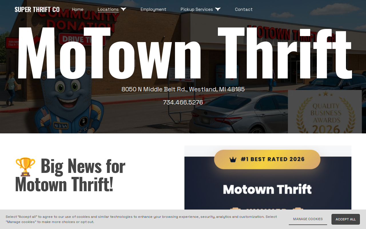 Motown Thrift Stores website preview