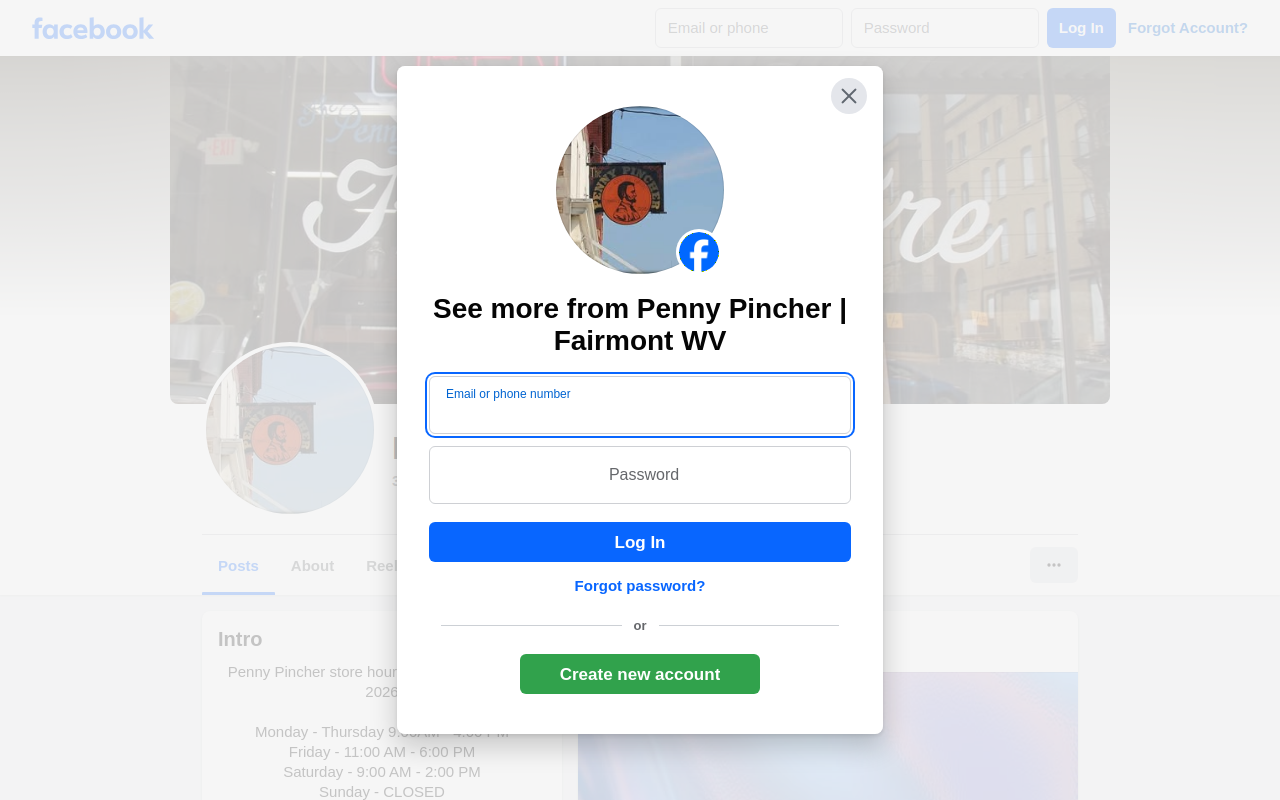 Penny Pincher website preview