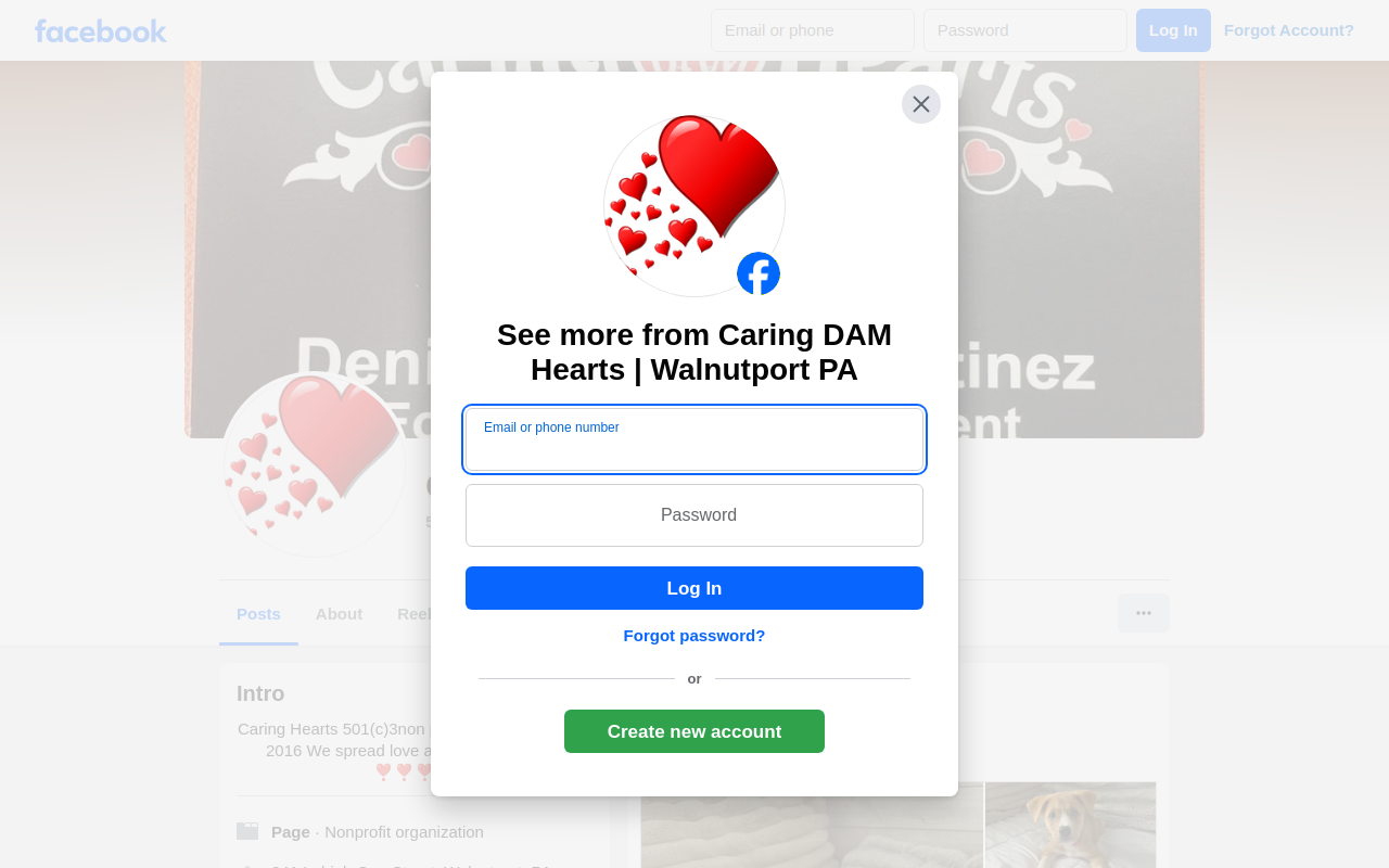 Caring Hearts Thrift Boutique website preview