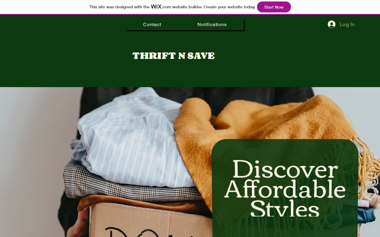 Thrift N Save website preview