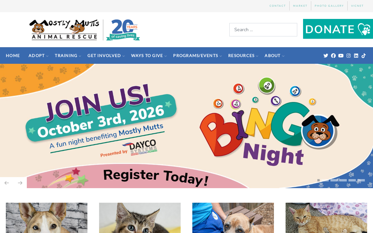 Mostly Mutts Market website preview