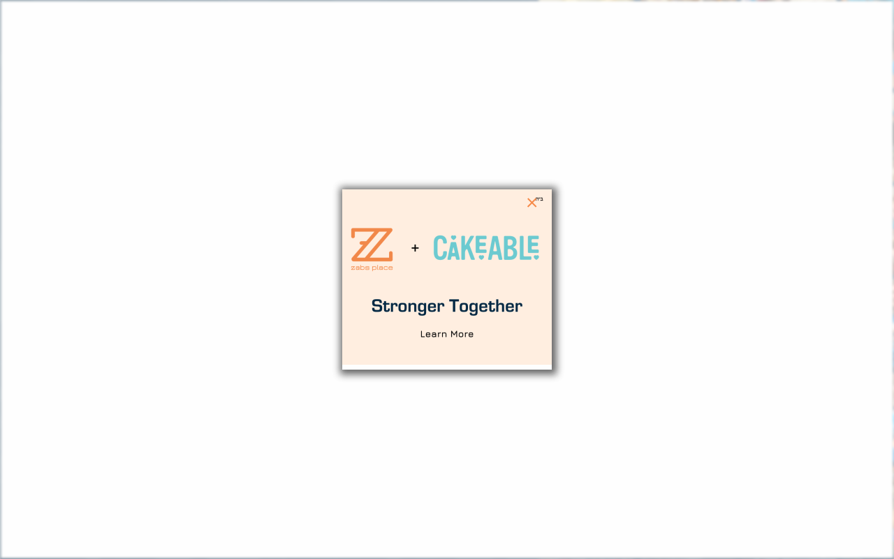 ZABS Place website preview