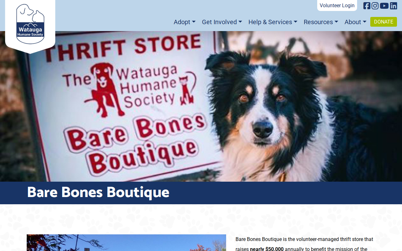 Bare Bones Boutique website preview
