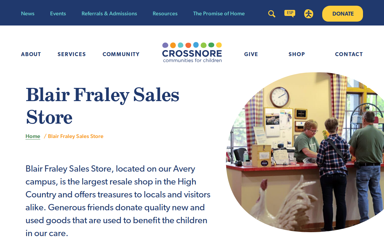 Blair Fraley Sales Store website preview