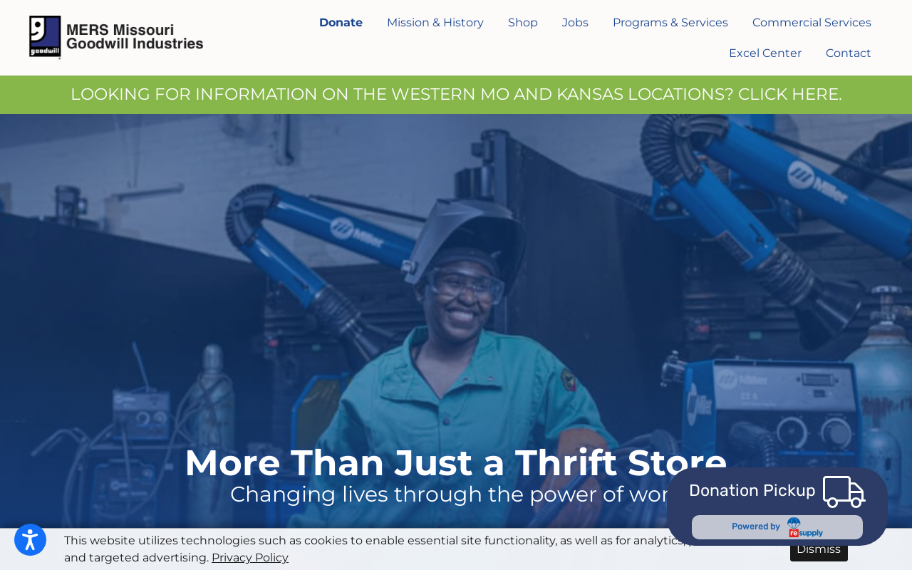 Goodwill website preview