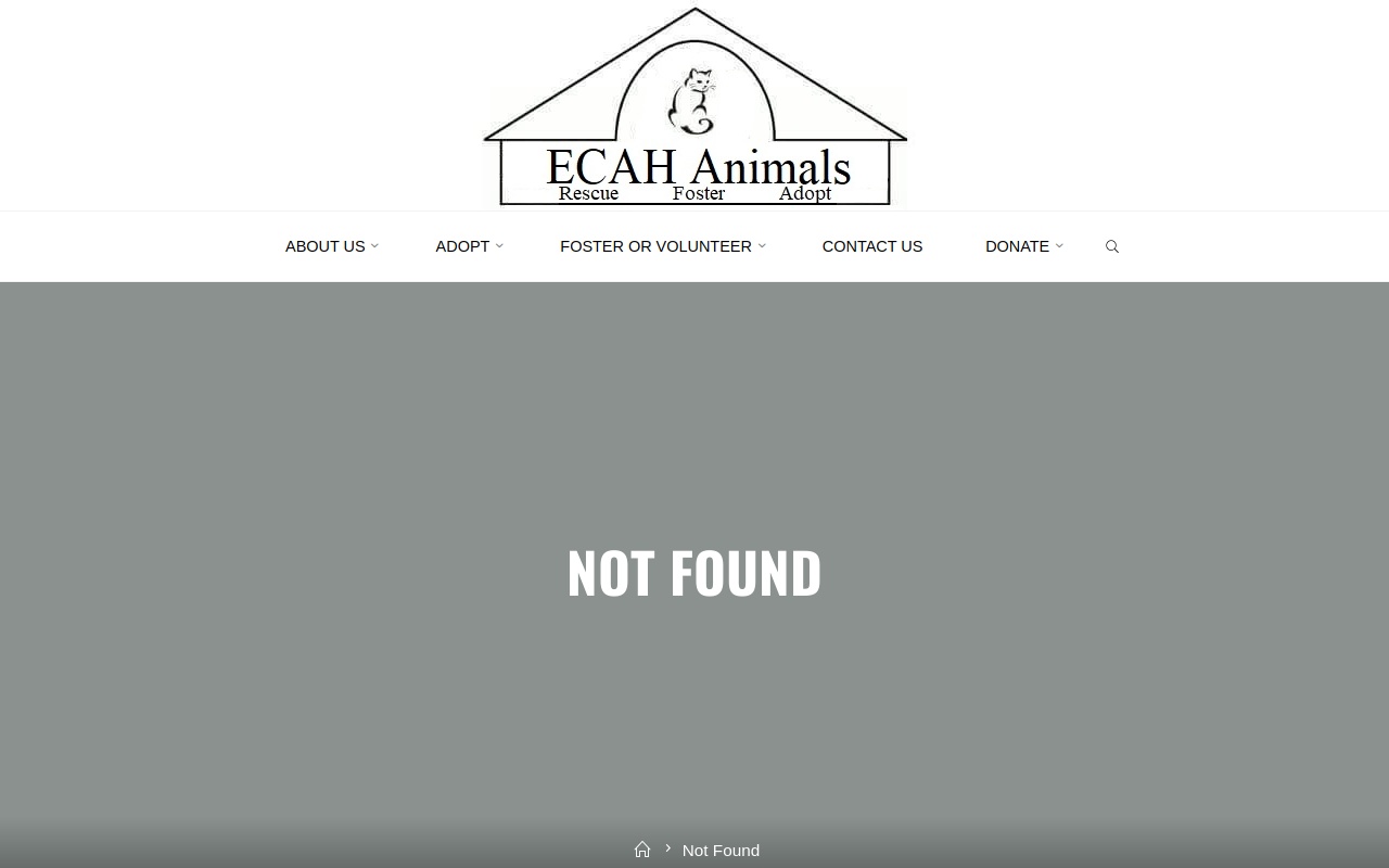 Re-Tail website preview