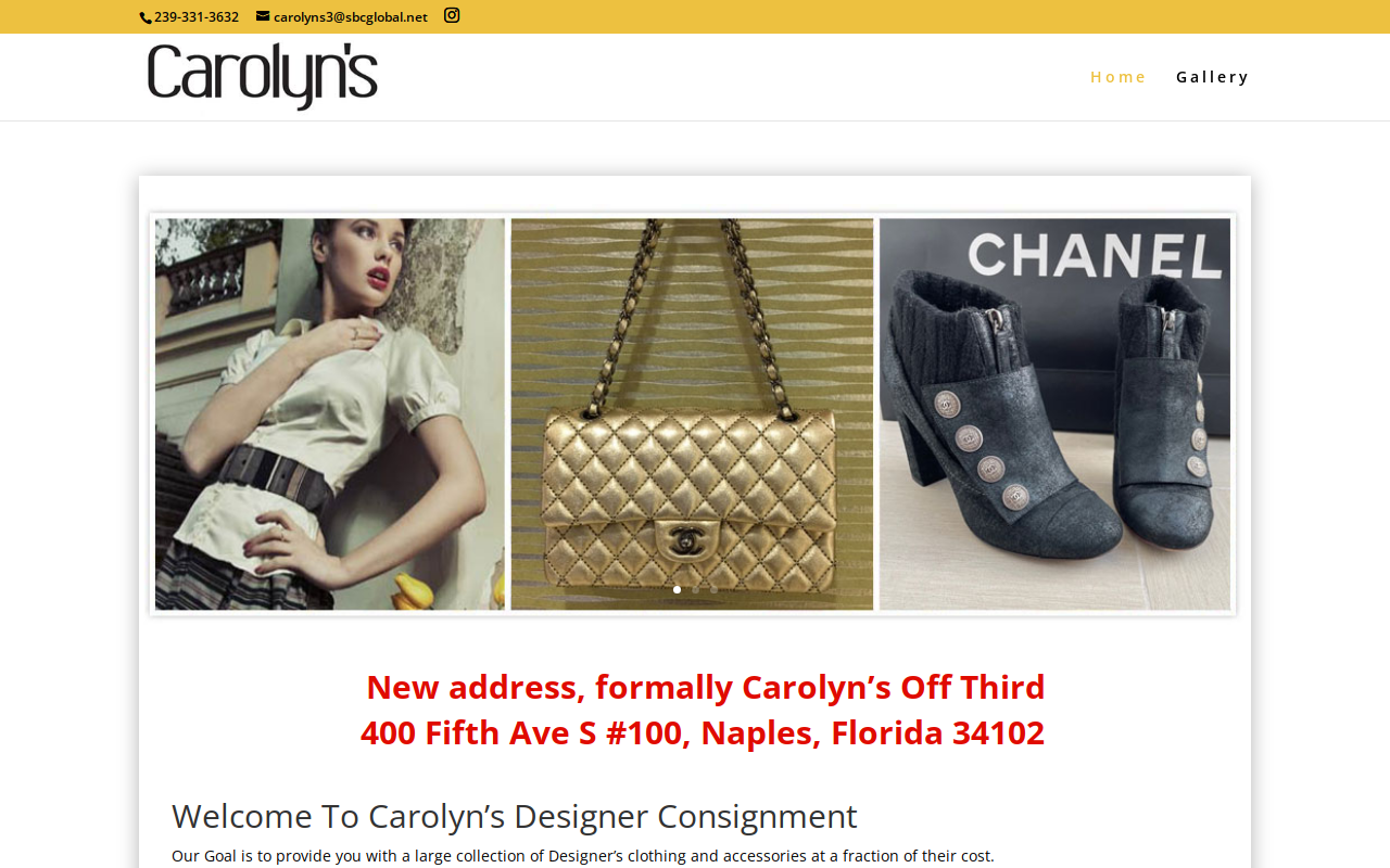 Carolyn's website preview