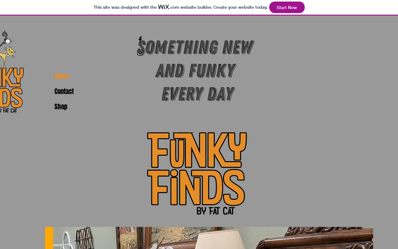 Funky Finds By Fat Cat website preview