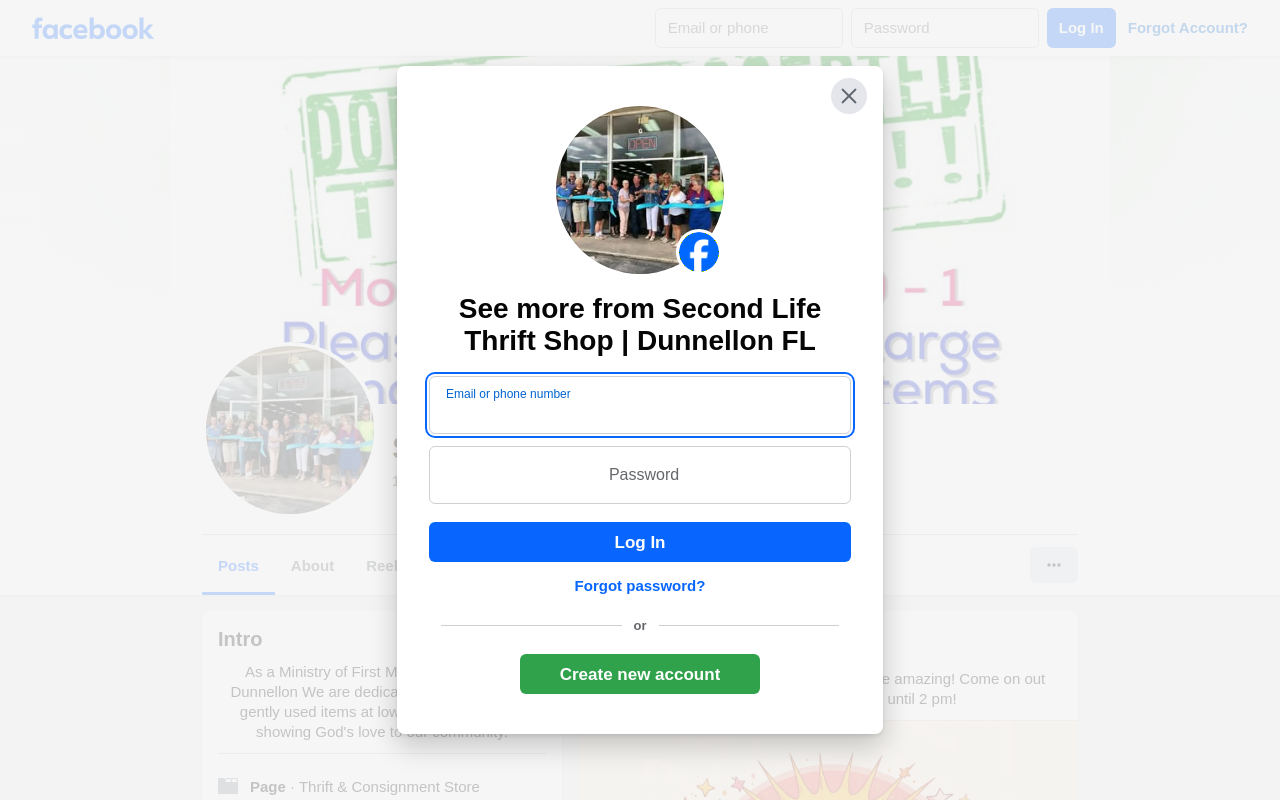 Second Life Thrift Shop website preview