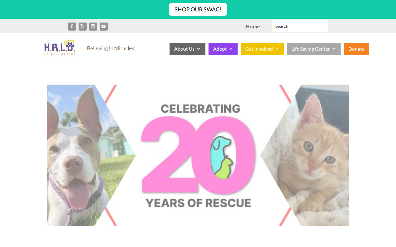 H.A.L.O.S Rescued Treasures Thriftique website preview